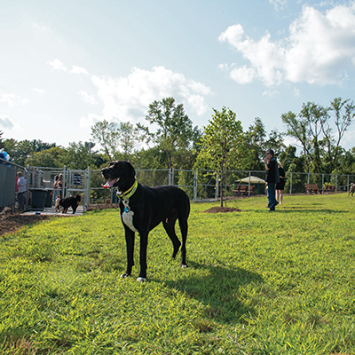 New Moon Dog Park Opens
